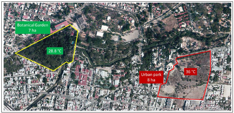 Comparison of land surface temperature (LST) registered at two contiguous woodland areas with different tree density. 