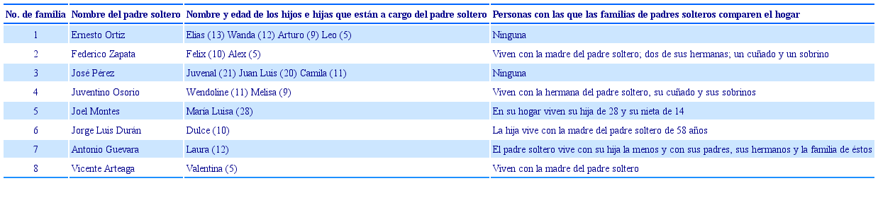 Conformaci&oacute;n de hogares de padres solteros de sectores populares