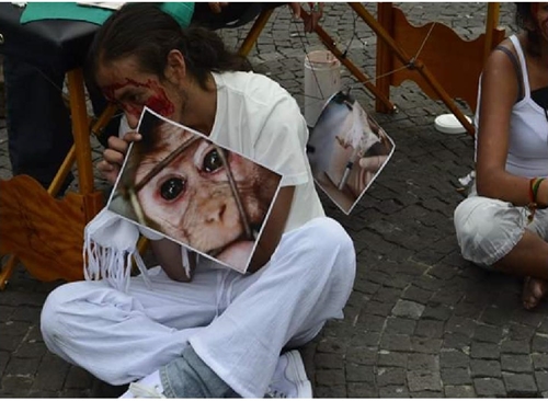 Performance en contra de la experimentaci&oacute;n animal (2014) 