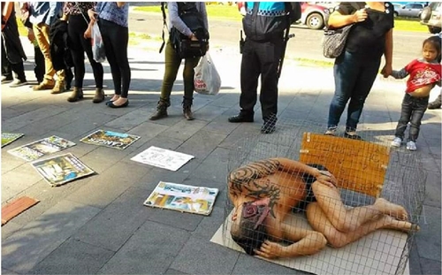 Performance antiespecista (2016)