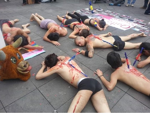 Performance anti-taurino (2015)