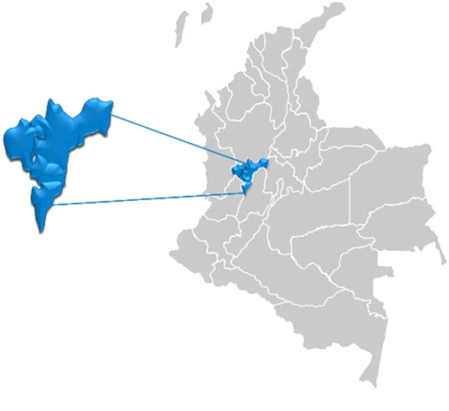 Colombia y Regi&oacute;n Cafetera donde se adelant&oacute; el estudio