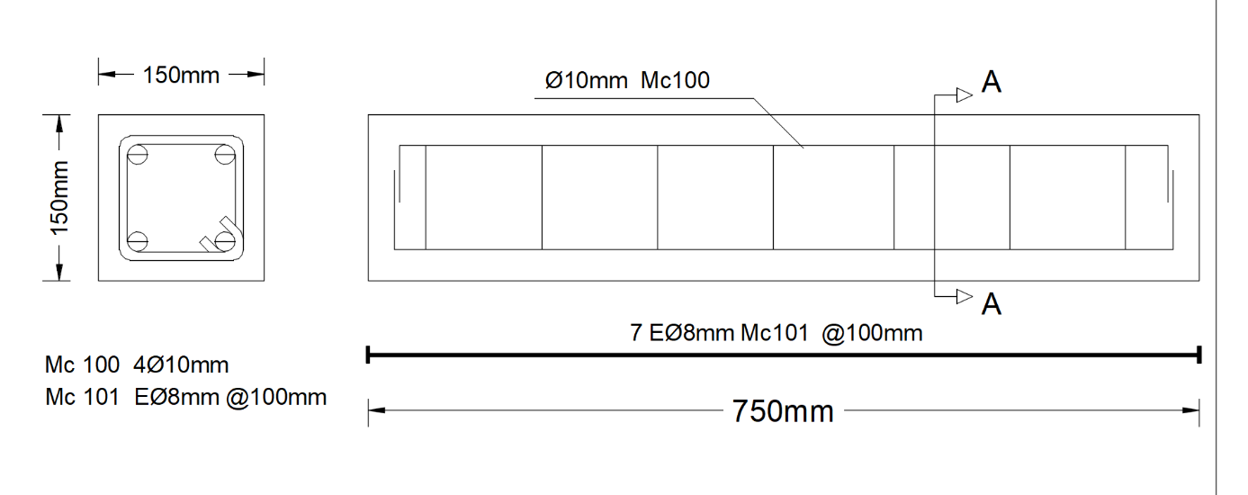 Detalles
de la viga tipo de concreto reforzado