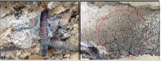 Da&ntilde;os producidos en las vigas de hormig&oacute;n armado despu&eacute;s de los diferentes
tiempos de exposici&oacute;n al fuego: a) 150 min, b) 180 min
