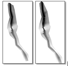 R&aacute;ster de Modelo de Elevaci&oacute;n Digital del Terreno creado en: a) ArcGIS, b) QGIS