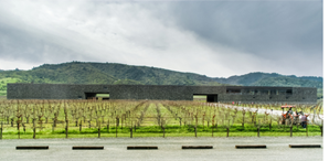 rea de acceso de Las Bodegas Dominus.