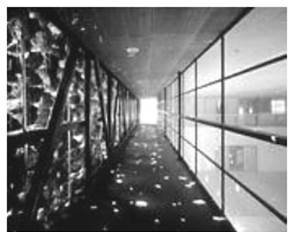 Efecto de iluminacin de Las Bodegas Dominus.