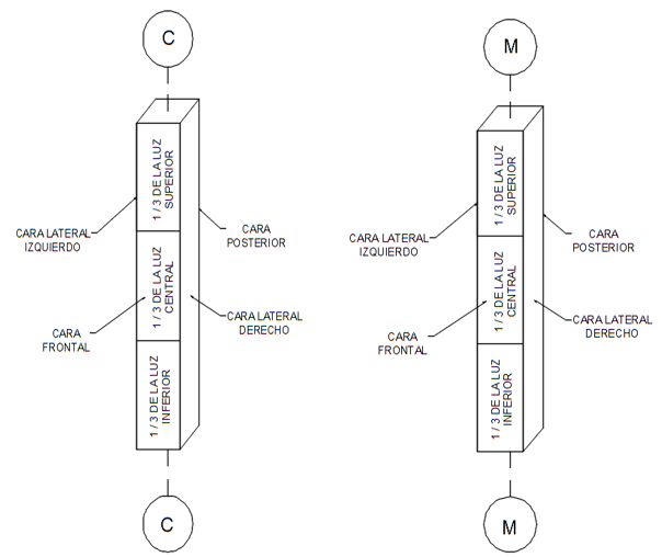 Ubicaci�n de columnas (C) y machones (M). 