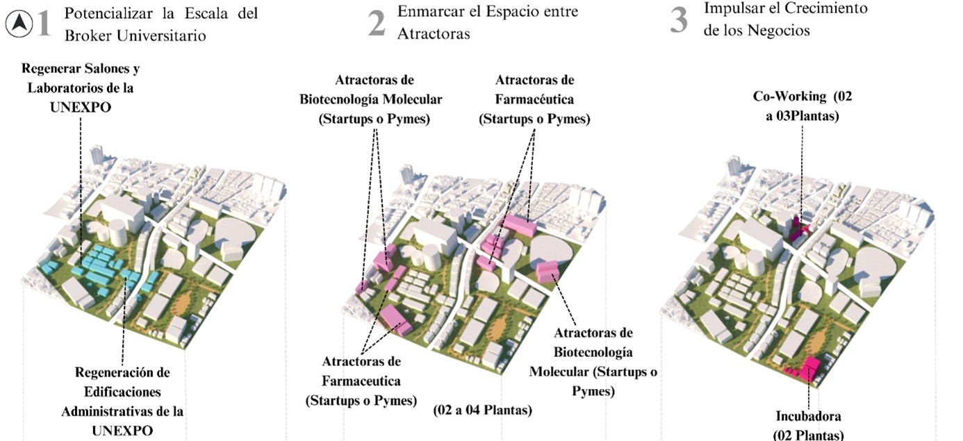  Composici�n Urbana del Cl�ster de Biotecnolog�a Cl�nica y Farmacolog�a Molecular. Educaci�n, Atractoras, Aceleraci�n e Incubaci�n.