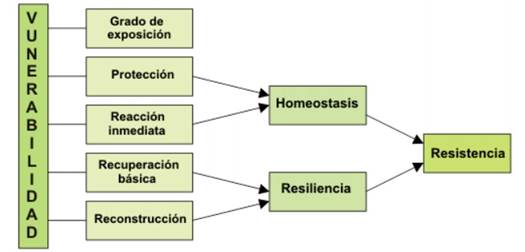Vulnerabilidad.