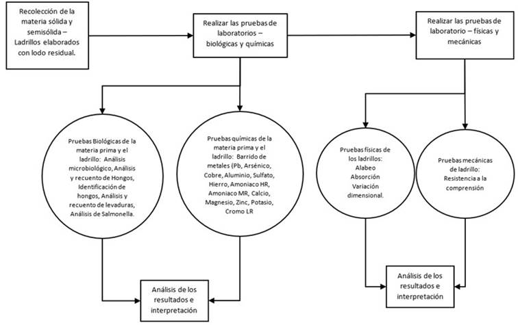 Proceso para an�lisis comparativo. 