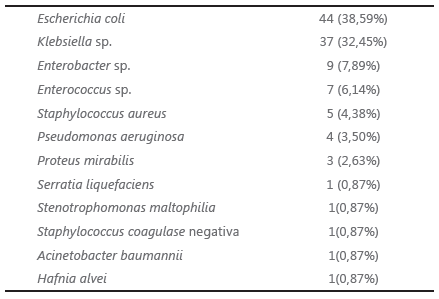 Bact�rias isoladas nas 114 uroculturas representativas de infec��o (>105 UFC/ml)