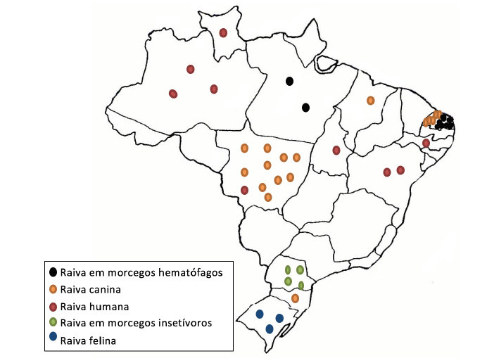 O mapa da raiva no Brasil em seres humanos, canídeos, felídeos, morcegos hematófagos e insetívoros.
