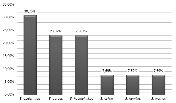 Frequency of the main species of Staphylococcus isolated in the surfaces of the ICU. Caruaru, PE, Brazil, 2015 - 2016.