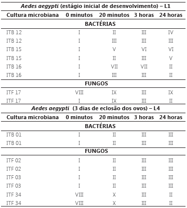 Resultados de testes de exposio de larvas de Aedes aegypti a culturas microbianas