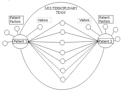 Complex ward network with two patients created by the author based on the BarabsiAlbert model16