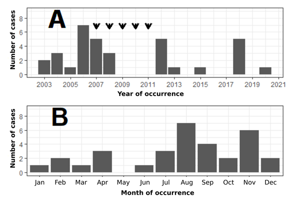 Distribution of frequency of human cases of Brazilian spotted fever in the urban perimeter of Juiz de Fora, Minas Gerais, from 2003 to 2020