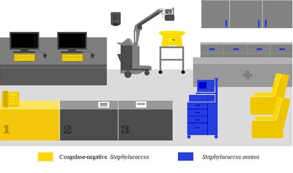 Distribution of environmental contamination of microorganisms isolated from cultures carried out on surfaces and equipment in the area of common use among companions and professionals in a Pediatric Intensive Care Unit. Londrina, PR, Brazil, 2020