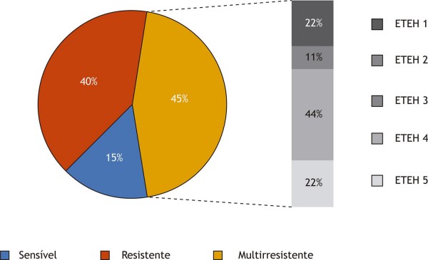 Fenótipos de suscetibilidade aos antimicrobianos dos isolados de P. aeruginosa