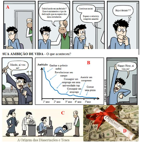 Imagens utilizadas no estudo