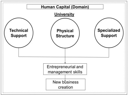 Theoretical model used.