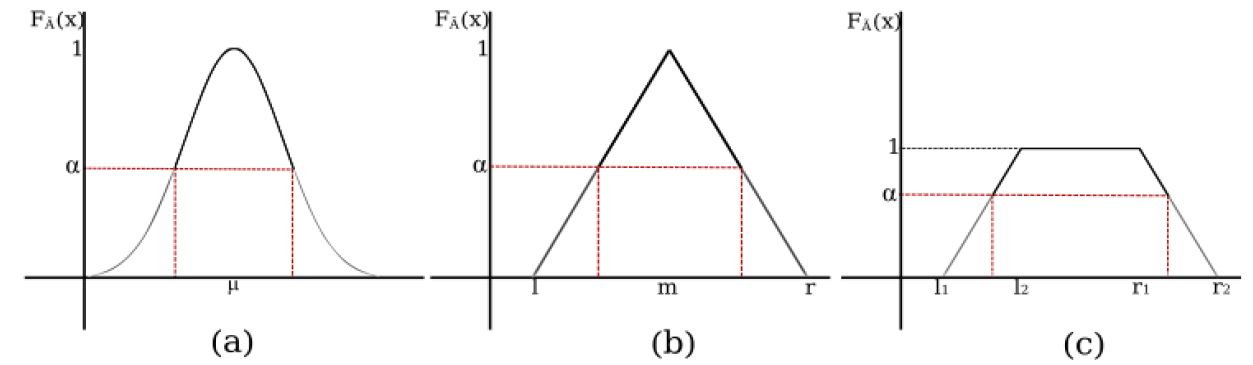 α-cut set for different type of fuzzy numbers.