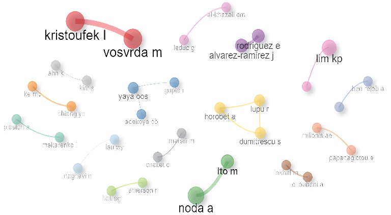 Collaboration network between authors.