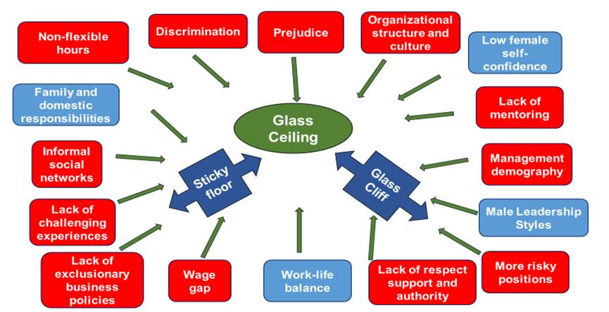 Factors and study focuses that affect the glass ceiling