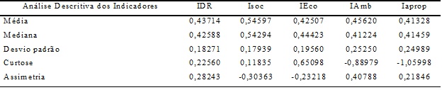 Análise descritiva dos indicadores
