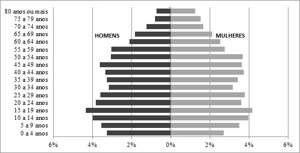 – Pirâmide da população do município de Rio Pardo 2010