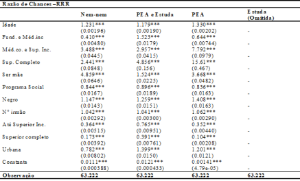 – Determinantes das escolhas ocupacionais das jovens mulheres, 2010