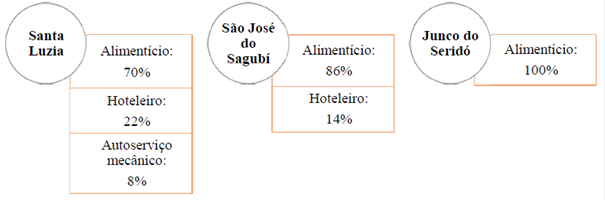 – Quantitativo dos ramos comerciais atingidos com a pesquisa