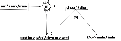 Primera fusión y diversificación de términos