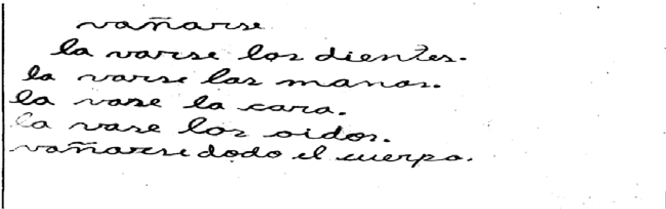 Imagen N&deg; 03 Ficha de
decodificaci&oacute;n SCH-03.17-14