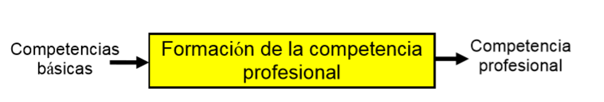 Proceso
de formaci&oacute;n de la competencia profesional