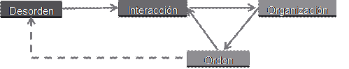 Bucle desorden/interacciones/orden/organización