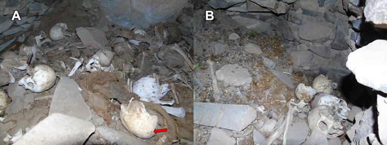 : Restos &oacute;seos humano en el interior de los ambientes 2 (A) y 3 (B). La flecha indica un cr&aacute;neo con deformaci&oacute;n.