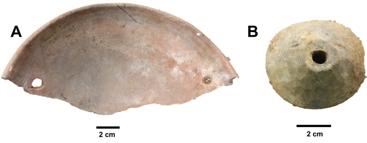 Fragmento de cer&aacute;mica (A) y una rueca de madera registrado en el ambiente 2, en el sitio arqueol&oacute;gico Pushkanawasi.