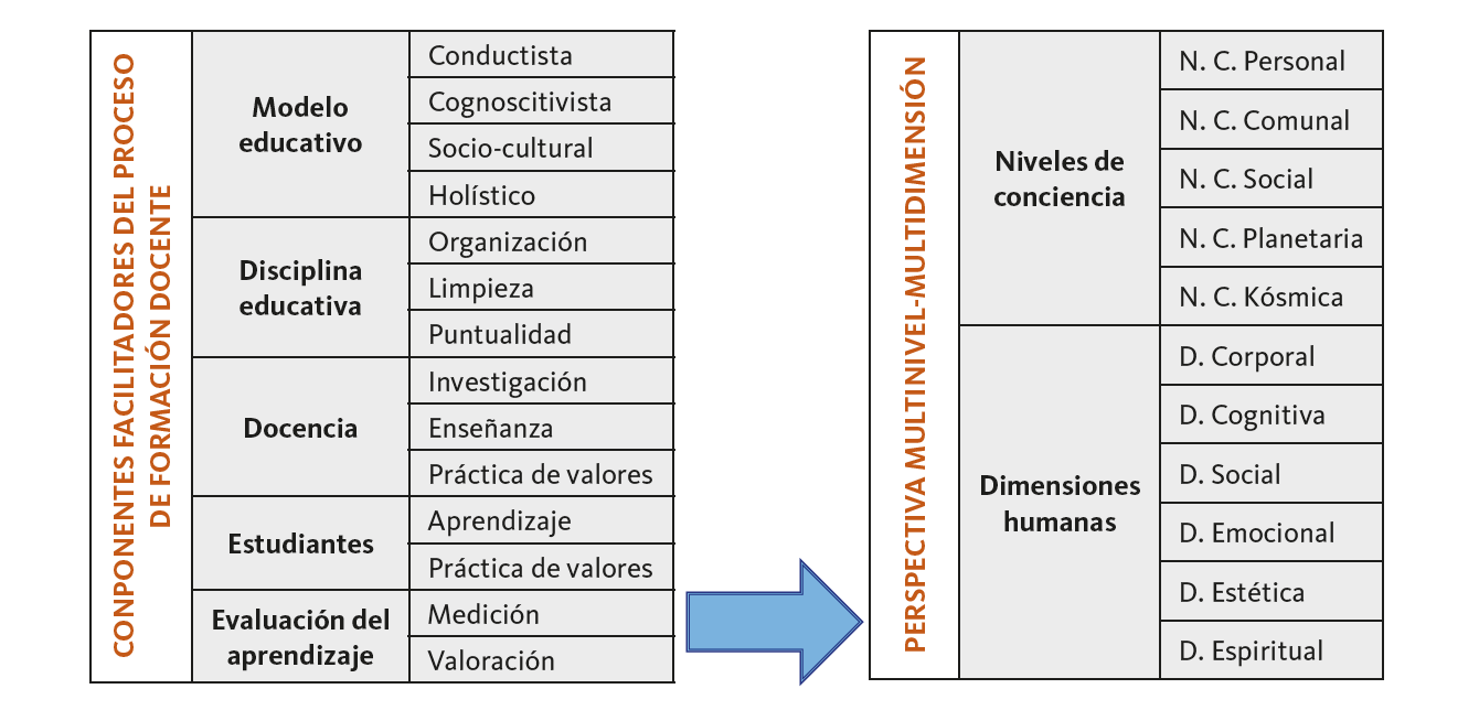Componentes del proceso de formación docente en el desarrollo de los niveles de conciencia y dimensiones humana