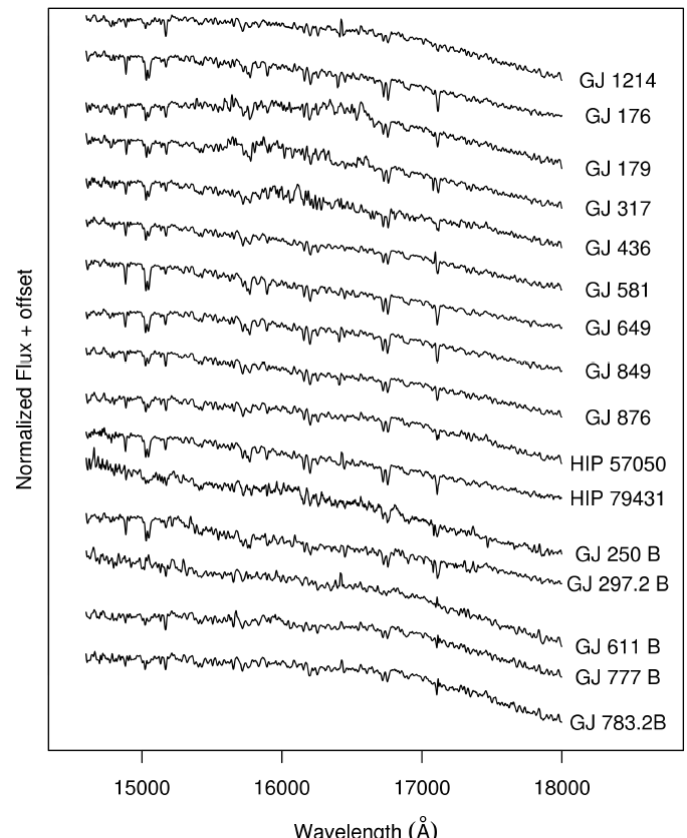 Normalised spectra in the H band. Each spectrum has been normalised
							by its mean flux between 1.46 and 1.80 μm and arbitrarily
							shifted.