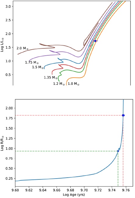 (Top) Hertzsprung-Russell diagram with the position of δ Mus indicated with a star,
							compared to evolutionary tracks from Bertelli et al. (1994). (Bottom) Evolution of the radius of
							a 1.2 M⊙ stellar model from Bertelli et al. (1994). The current
							position of δ Mus is indicated with a star, while the value of 66
								R⊙ that would lead to Roche-lobe
							overflow (see text) is shown as a dot. The color figure can be viewed
							online.