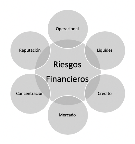 Relaci&oacute;n Riesgos Financieros