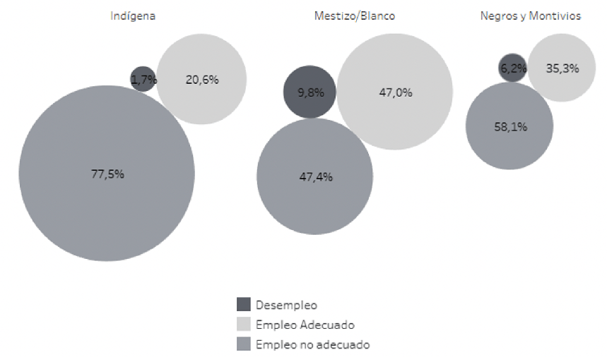Estructura de la fuerza de trabajo según etnia y condición de actividad (promedio 2007-2019)