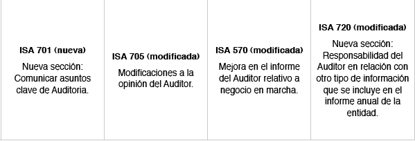 Formaci�n de la opini�n y dictamen sobre los Estados Financieros