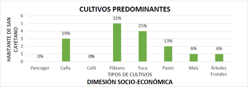 Cultivos predominantes en San Cayetano.