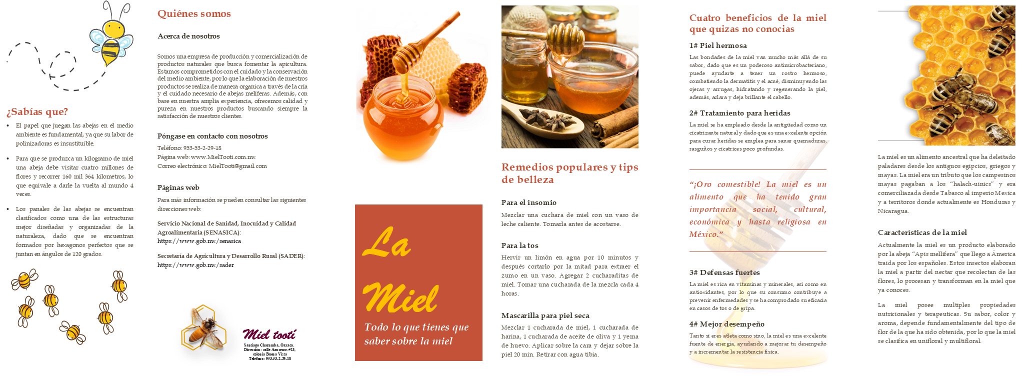 Propuesta de folleto acerca de la comercializaci&oacute;n de la miel.