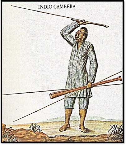 Dionísio da Cruz, que, en 1787, parece ser uno de los últimos cambera o cambeba (kambeba/omagua) con modelado craneal (con armas características y vestimenta modernizada de dos piezas) 
