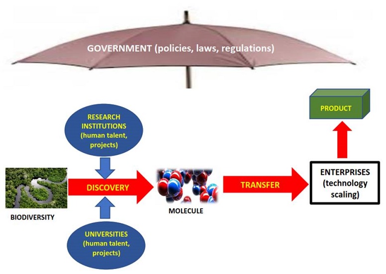 Institutional integration in a bioeconomic model for Latin America.