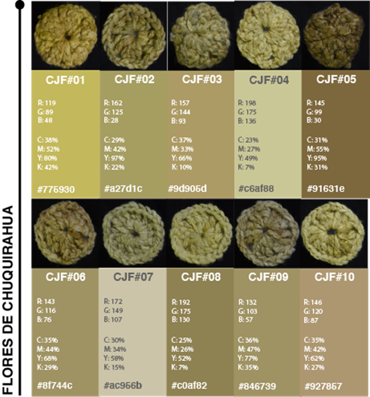 Valores tonales obtenidos a partir del teñido con flores de chuquiragua