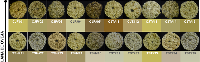 Retención de las tinturas vegetales en lana de oveja